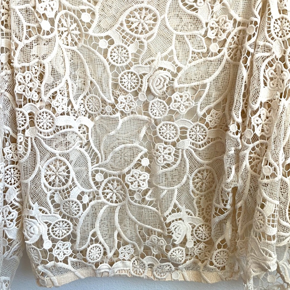 Alexis offwhite floral lace mesh off shoulder top - Picture 2 of 6